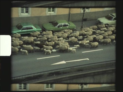 Filmstill, 2022