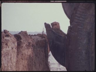 Filmstill, 2022