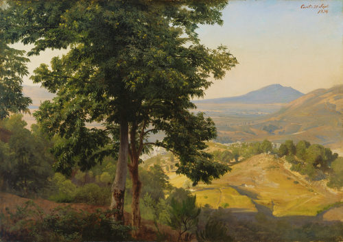 Johann Wilhelm Schirmer (Künstler*in), "Italienische Landschaft" – Blick gegen Süden von der Serpentara auf die Albaner Berge mit dem Monte Artemisio, vorne Esskastanien, 1839