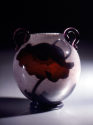 Vase mit schwarzem Mohn