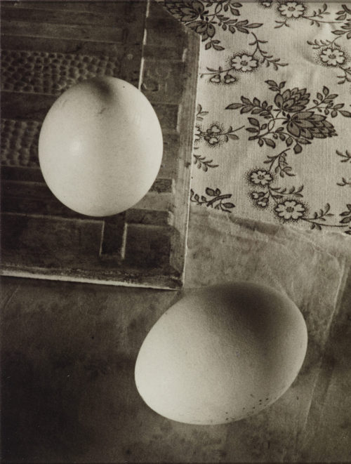 Ringl + Pit (Grete Stern und Ellen Auerbach) (Künstler*in), Das Ei des Kolumbus, Stillleben, 1930