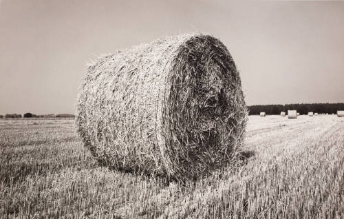 Heinrich Riebesehl (Künstler*in), 420/77, 1977