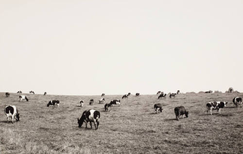 Heinrich Riebesehl (Künstler*in), Klein Waabs (Schleswig-Flensburg), 1978