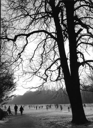 Eisläufer auf dem Spiegelweiher