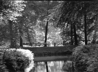 Blick aus dem Jagdwald zum Spiegelweiher