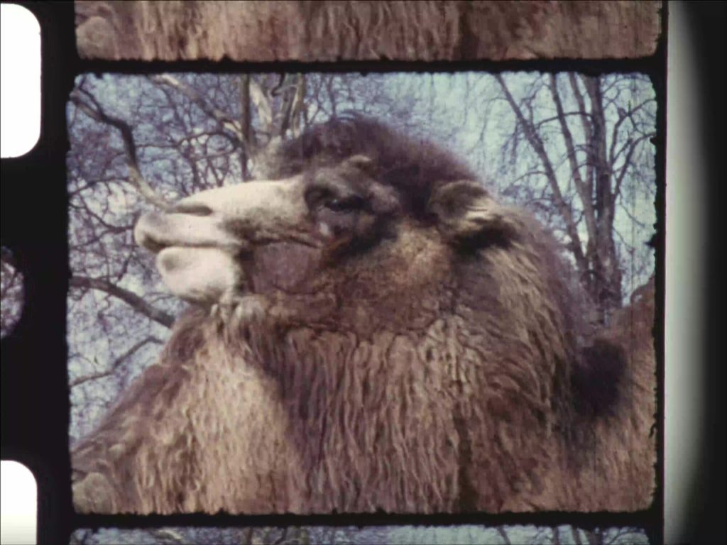 Filmstill, 2023