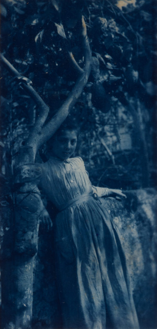 Elise Mahler (Künstler*in), Unterm Citronenbaum, ca. 1900