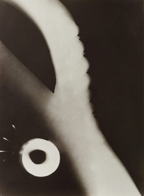 László Moholy-Nagy (Künstler*in), Fotogramm, 1922–1926