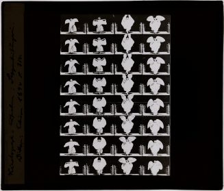 Glasdia, "Kinematograph Aufnahme: Serpentintänzerin", ca. Anfang 20. Jahrhundert