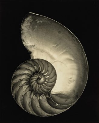 Edward Weston