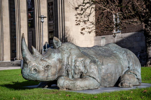 Johannes Brus (Künstler*in), Nashorn, 2002