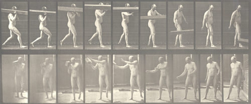 Eadweard Muybridge (Künstler*in), Animal Locomotion, Männer (Akt), Platte 384, Einen Holzbalken von der Schulter hebend, 1872–1885