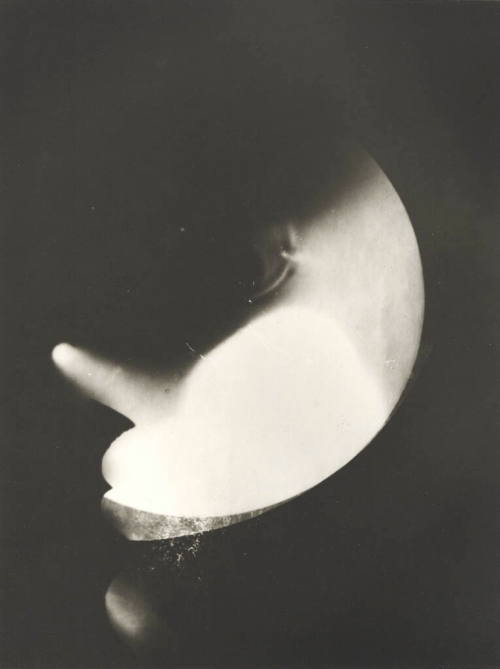 László Moholy-Nagy (Künstler*in), Fotogramm, Selbstporträt, 1922–1926