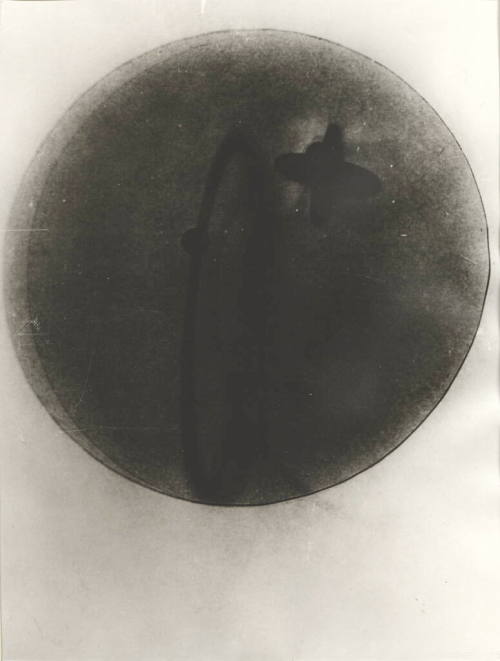 László Moholy-Nagy (Künstler*in), Fotogramm, 1922–1926