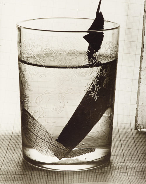 Grete Stern (Künstler*in), Papier in Glas, 1931