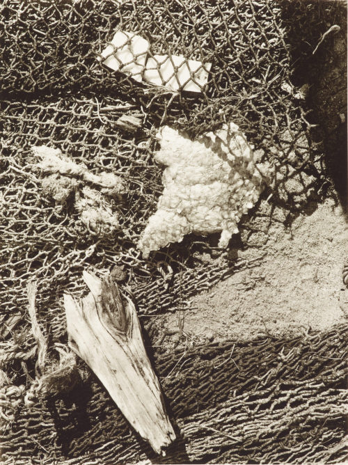 Eugen Batz (Künstler*in), Netz und Holzfragmente, 1930