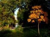 Hofgarten - Blick auf die Goldene Brücke