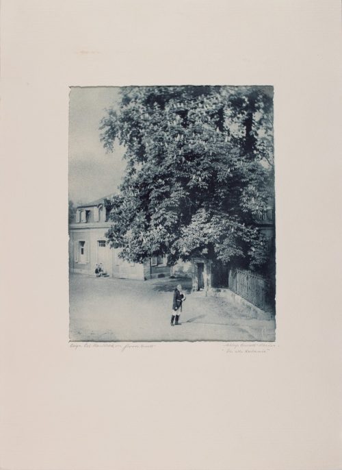 Jakob Groos-Benrath (Fotokünstler*in), „Die alte Kastanie“ aus der Mappe Öldrucke Schloss-Spiele, 1925