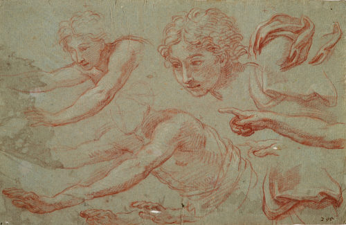 Giuseppe Passeri (Künstler*in), Studien einer nach links gewendeten Figur, ca. 1670-1714