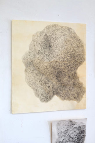 Andrea Knobloch, Torso