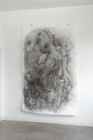 Andrea Knobloch, Creature