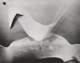 Lotte Jacobi