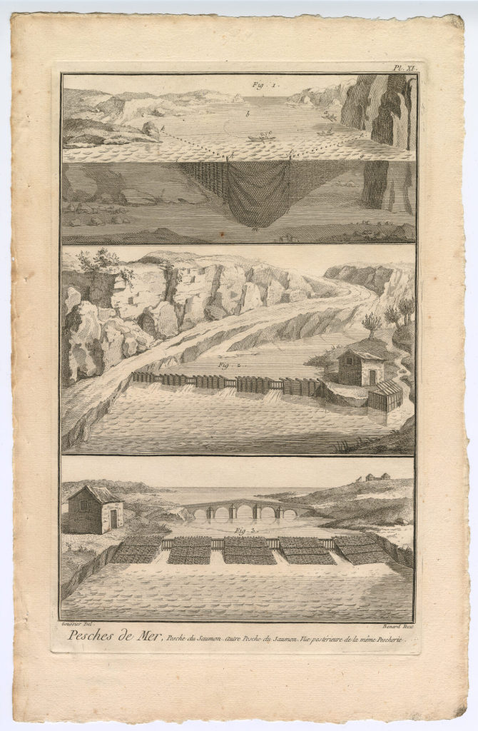 Pesches de Mer. Pesche du Saumon. [...] (Pl. XI.)
