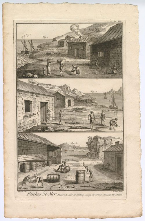 Benard (Künstler*in), Taf. 12, Pesches de Mer. Maniere de saler les sardines. [...] (Pl. XII.), 1782-1789