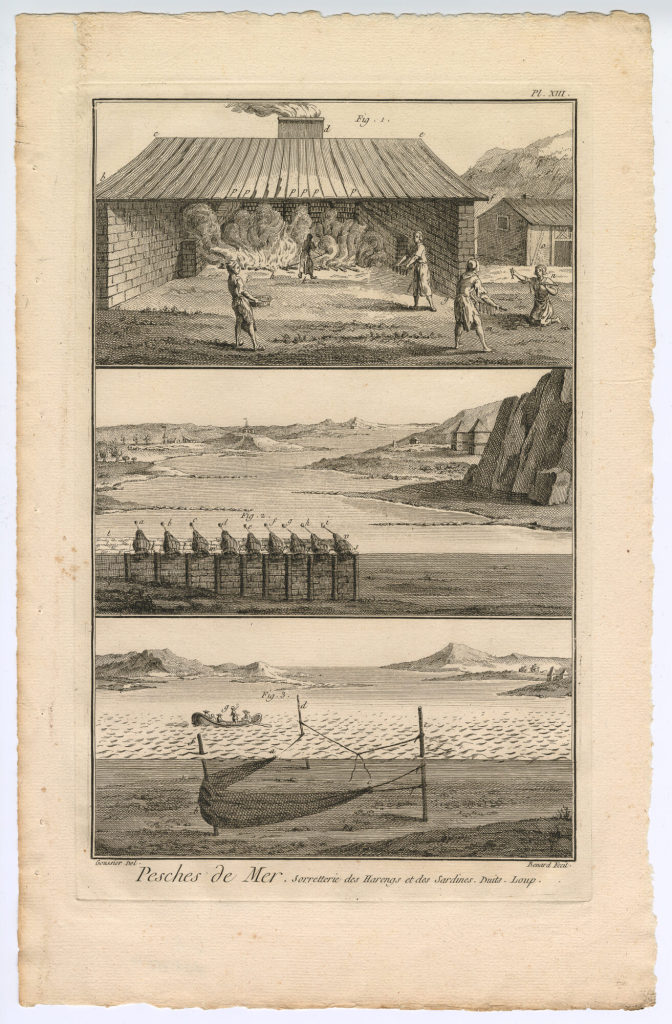 Taf. 13, Pesches de Mer. Sorretterie des Harengs [...] (Pl. XIII.)