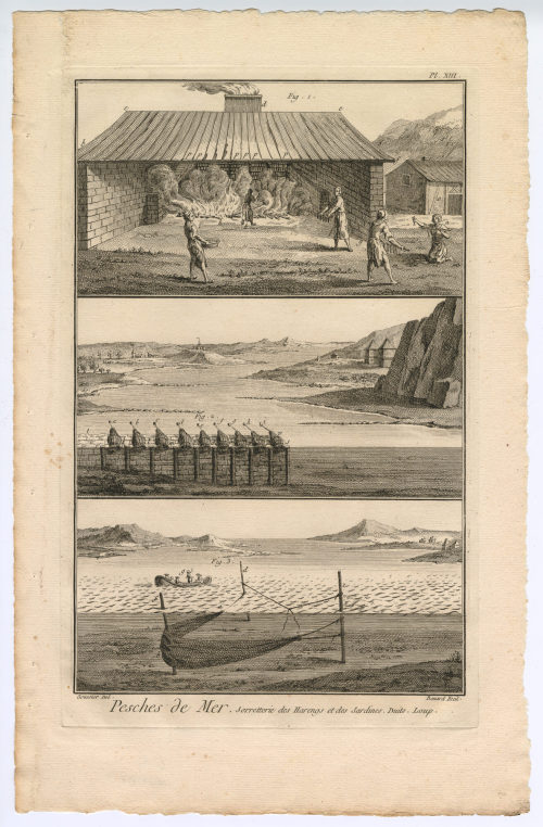 Benard (Künstler*in), Taf. 13, Pesches de Mer. Sorretterie des Harengs [...] (Pl. XIII.), 1782-1789