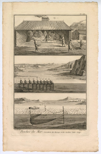 Taf. 13, Pesches de Mer. Sorretterie des Harengs [...] (Pl. XIII.)