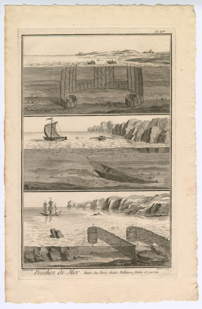 Pesches de Mer, Hauts-bas Parcs. Chalut [...] (Pl. XIV.)