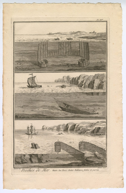 Benard (Künstler*in), Pesches de Mer, Hauts-bas Parcs. Chalut [...] (Pl. XIV.), 1782-1789