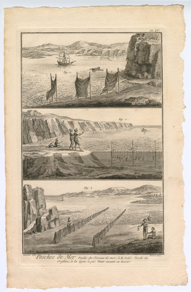 Pesches de Mer. Pesche des Oiseaux de mer, à la volée. [...] (Pl. XV.)