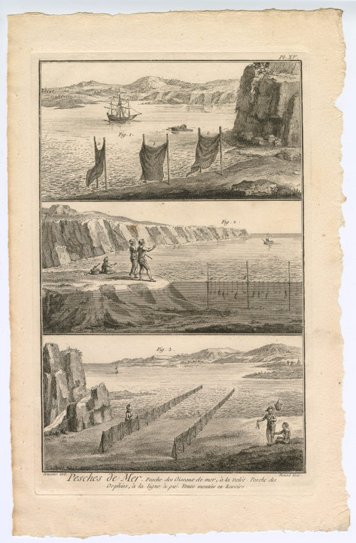 Benard (Künstler*in), Pesches de Mer. Pesche des Oiseaux de mer, à la volée. [...] (Pl. XV.), 1782-1789