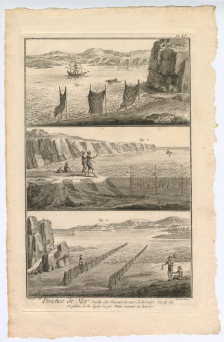 Pesches de Mer. Pesche des Oiseaux de mer, à la volée. [...] (Pl. XV.)