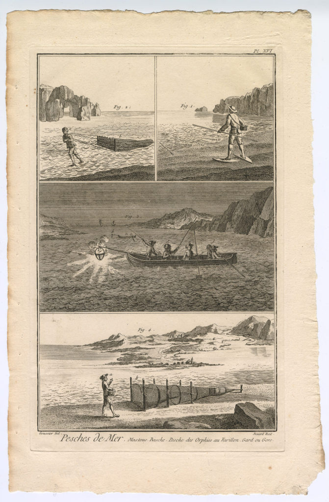 Pesches de Mer. Mastous. Basche. [...] (Pl. XVI.)