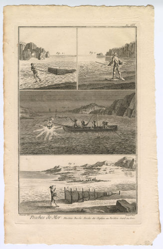 Pesches de Mer. Mastous. Basche. [...] (Pl. XVI.)
