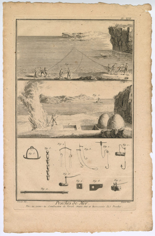 Benard (Künstler*in), Pesches de Mer. Vas-tu-viens-tu. [...] (Pl. XVII.), 1782-1789