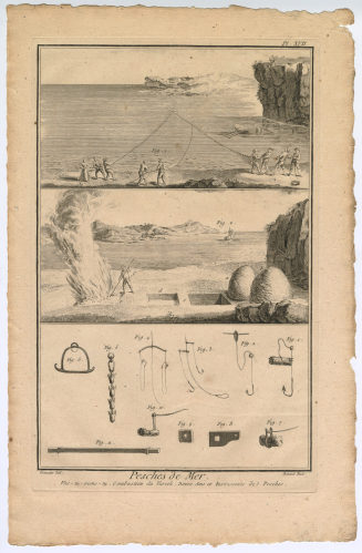Pesches de Mer. Vas-tu-viens-tu. [...] (Pl. XVII.)