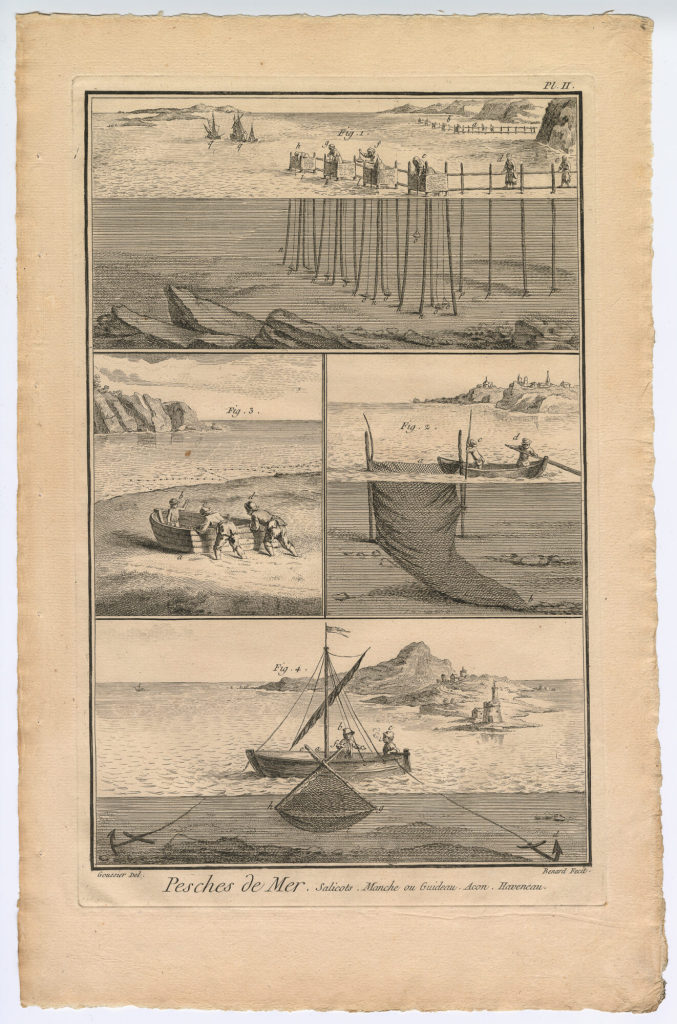 Pesches de Mer. Salicots. [...] (Pl. II.)