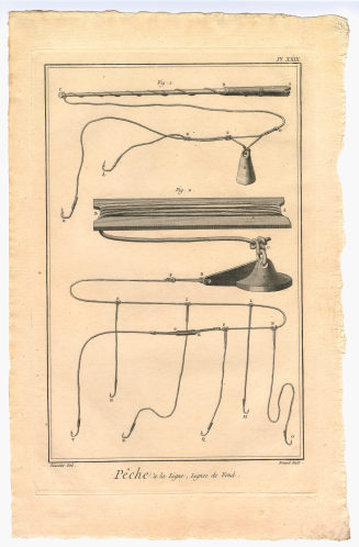 Pêche à la Ligne, Lignes de Fond. (Pl. XXIX.)