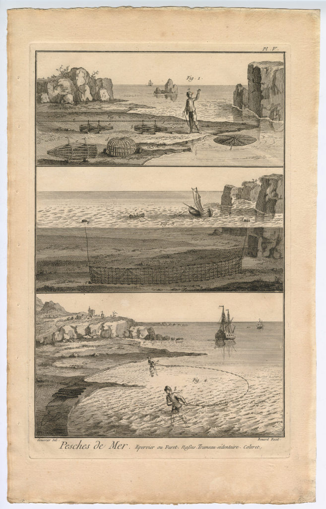 Pesches de Mer. Epervier ou Furet. [...] (Pl. V.)
