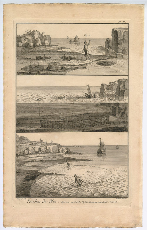 Benard (Künstler*in), Pesches de Mer. Epervier ou Furet. [...] (Pl. V.), 1782-1789