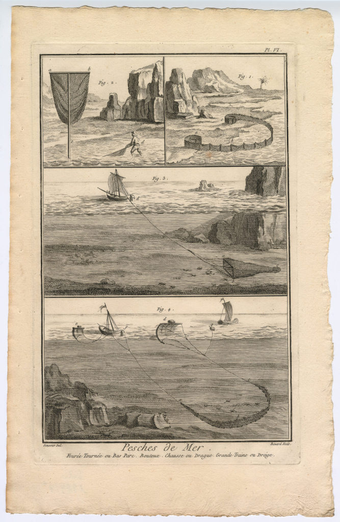 Pesches de Mer, Fourée Tournée [...] (Pl. VI.)