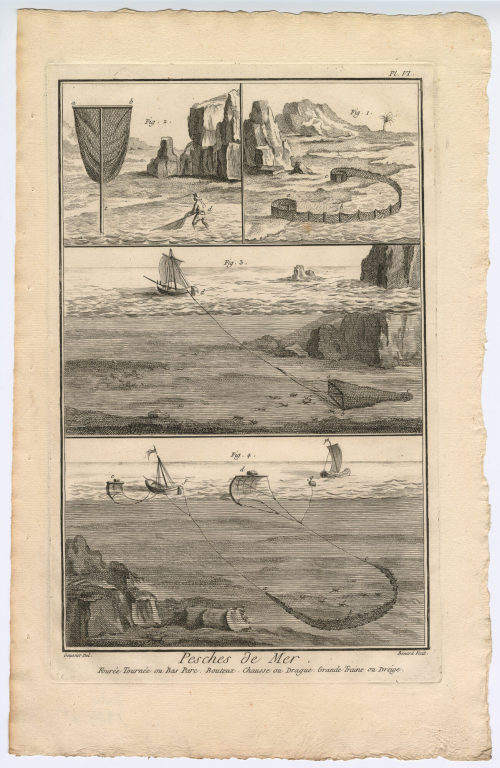 Benard (Künstler*in), Pesches de Mer, Fourée Tournée [...] (Pl. VI.), 1782-1789