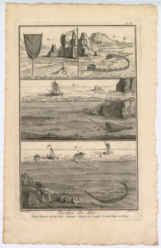 Pesches de Mer, Fourée Tournée [...] (Pl. VI.)