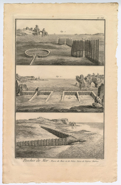 Benard (Künstler*in), Pesches de Mer, Parc de Bois et de Filet [...] (Pl. VII.), 1782-1789