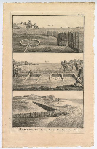 Pesches de Mer, Parc de Bois et de Filet [...] (Pl. VII.)