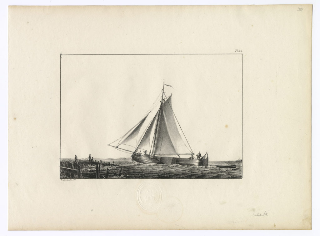 Schute (Pl. 24)